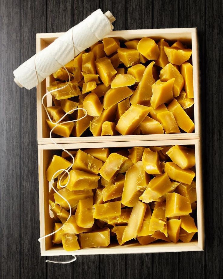 El Día en que la Cera de Abeja Encendió mi Magia