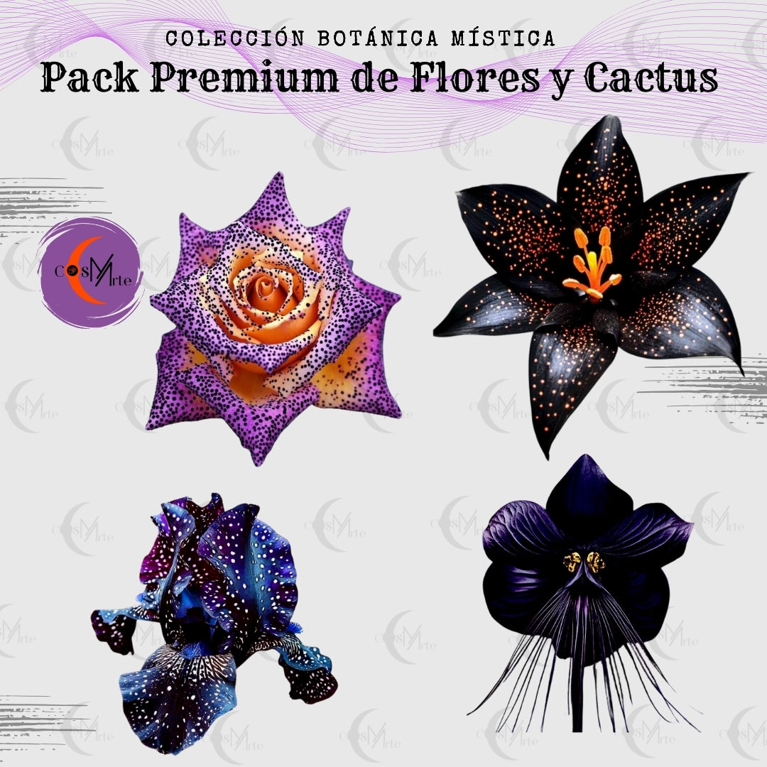 Colección Botánica Mística – 176 Imágenes Prediseñadas PNG de Flores y Cactus | Arte Digital para Planners y Diseño