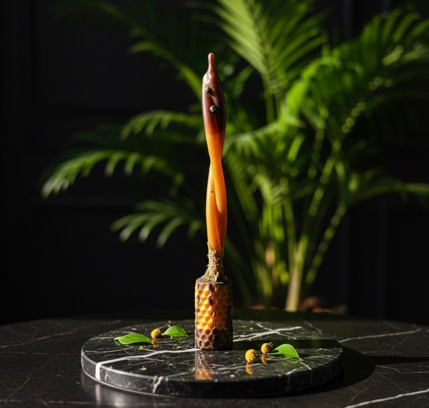 VELA DE RENOVACION TERRENAL